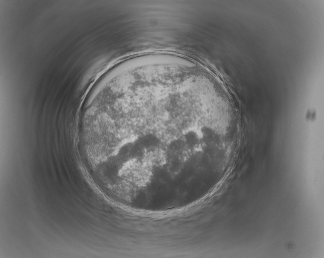 X0000116860002201002021116