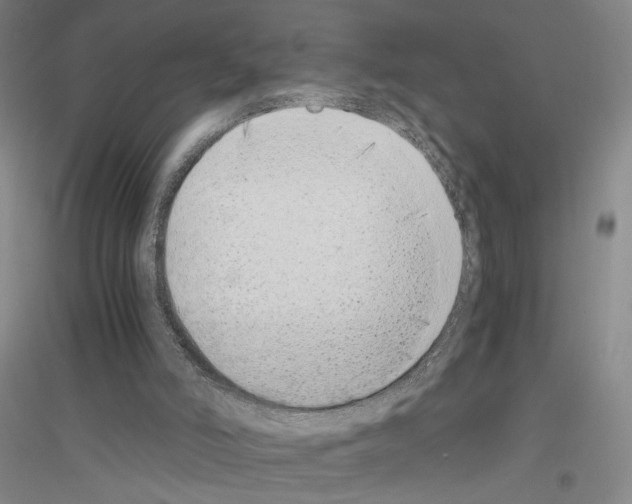 X0000116860006201002021116