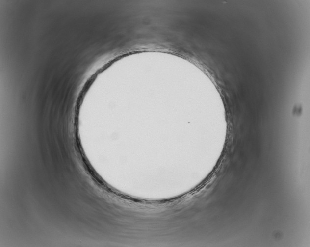 X0000116860008201002021116