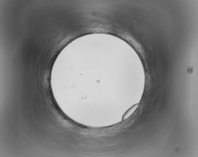 X0000116860009201002021116