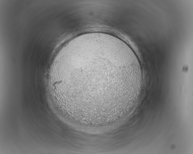 X0000116860010201002021116