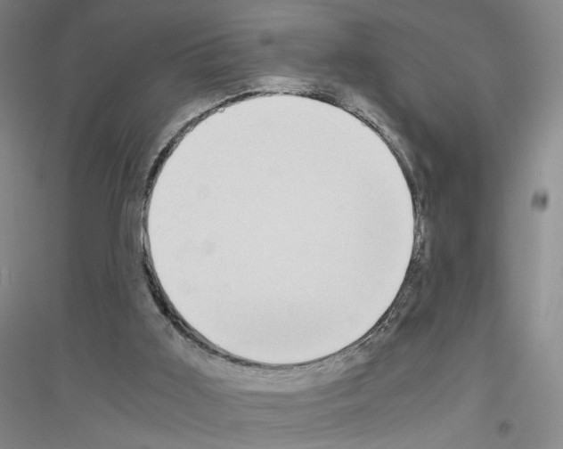 X0000116860011201002021116