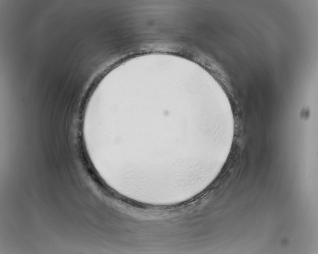 X0000116860012201002021116