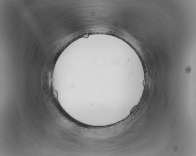 X0000116860013201002021116