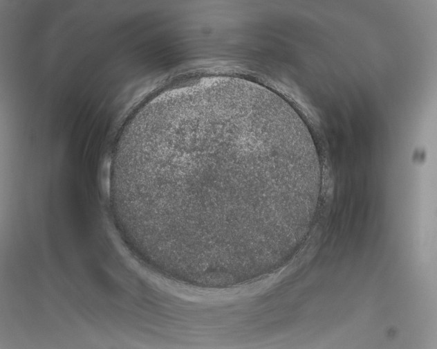 X0000116860014201002021116