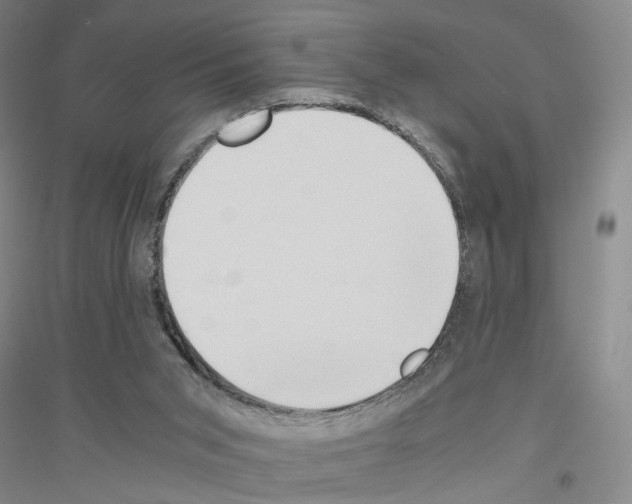 X0000116860015201002021116