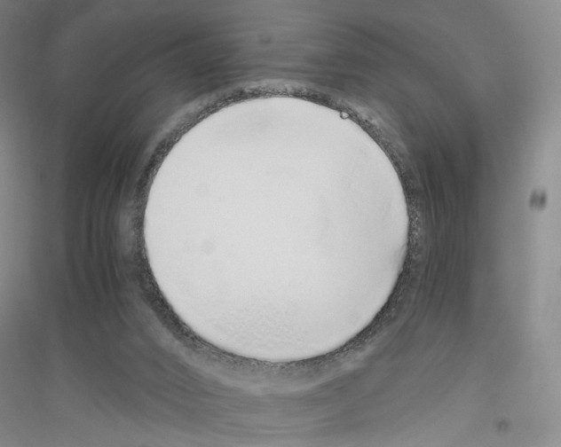 X0000116860016201002021116