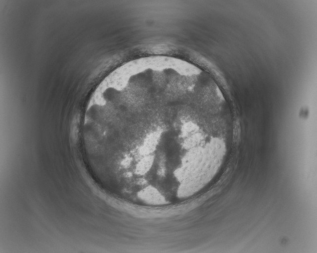 X0000116860018201002021116