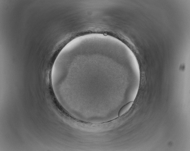 X0000116860019201002021116