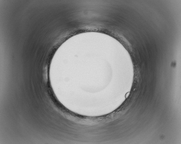 X0000116860020201002021116