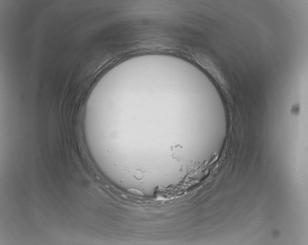 X0000116860021201002021116