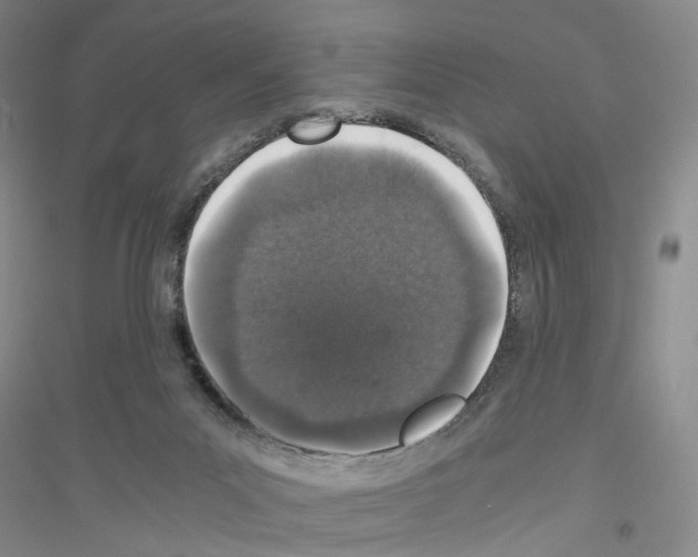 X0000116860023201002021116