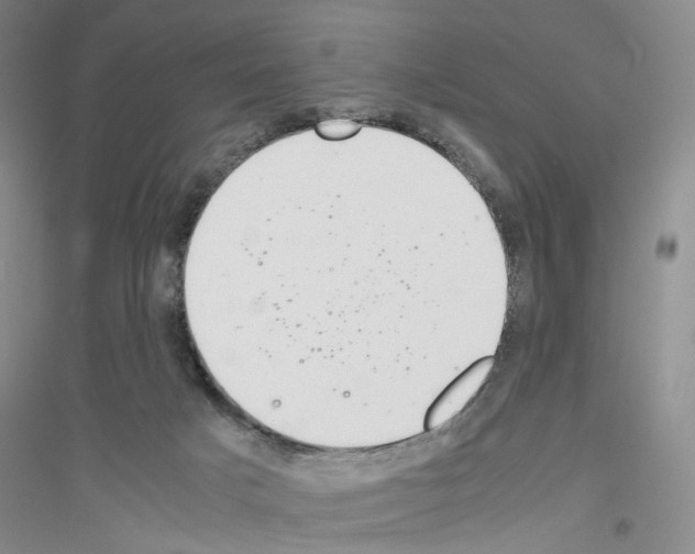 X0000116860025201002021116