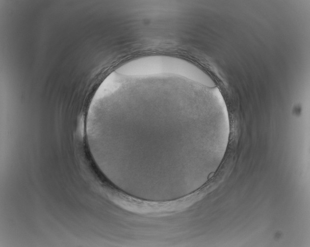 X0000116860027201002021115