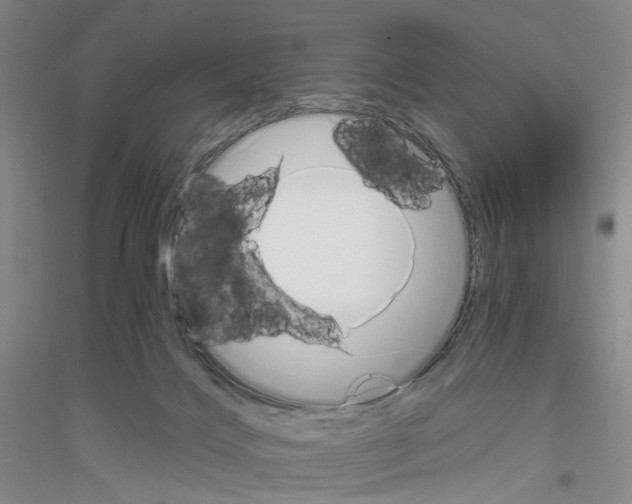 X0000116860028201002021115