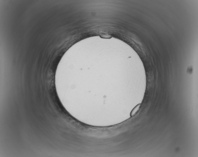 X0000116860029201002021115