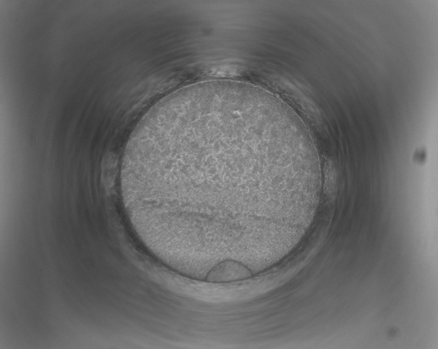 X0000116860030201002021115