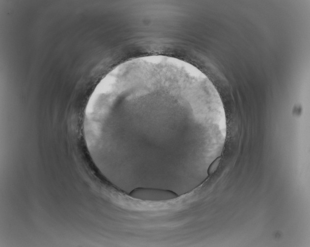 X0000116860031201002021115