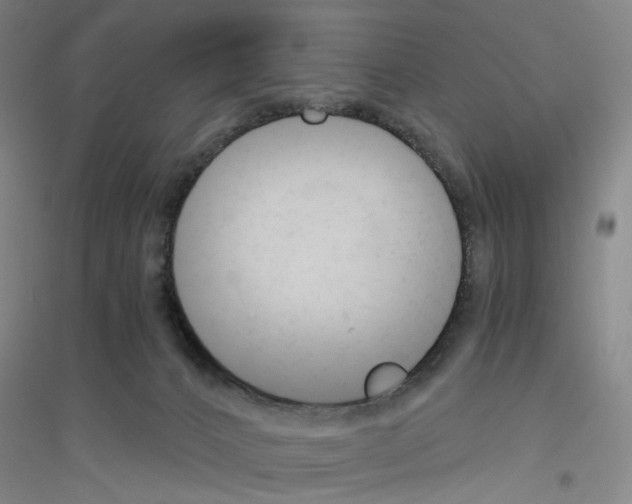 X0000116860032201002021115