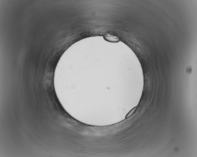 X0000116860033201002021115