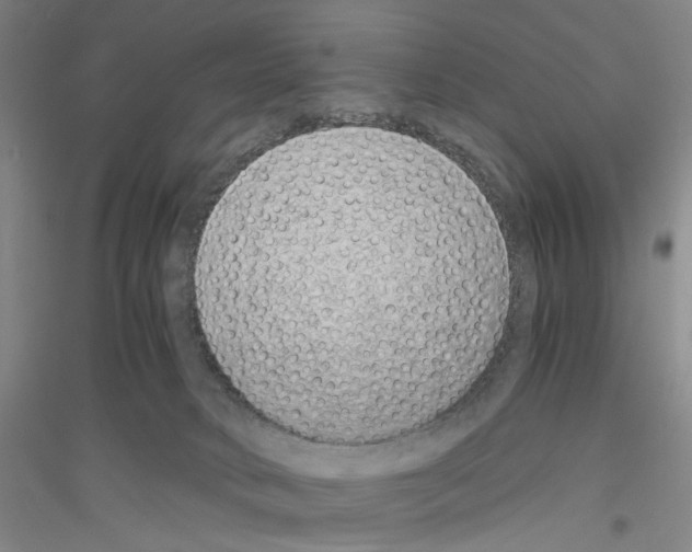 X0000116860034201002021115