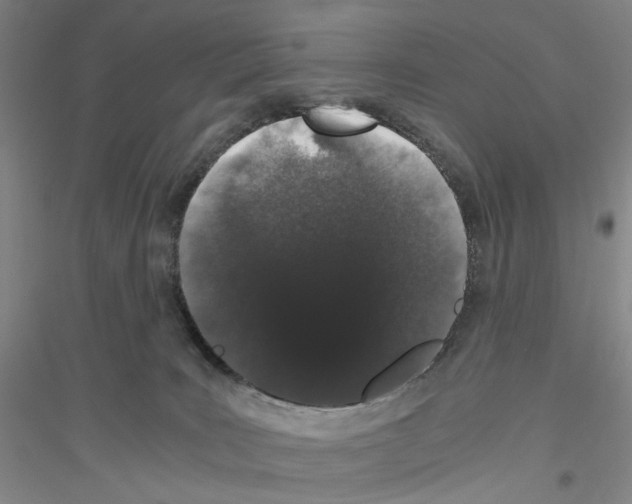 X0000116860035201002021115