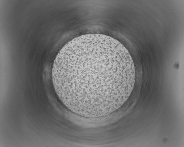 X0000116860038201002021115