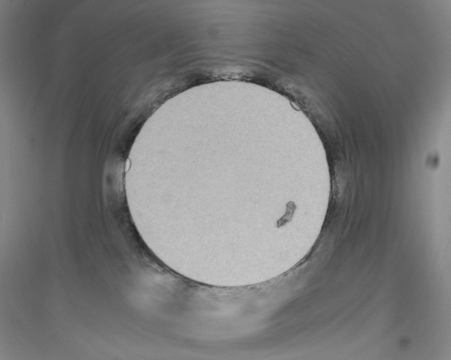 X0000116860041201002021115