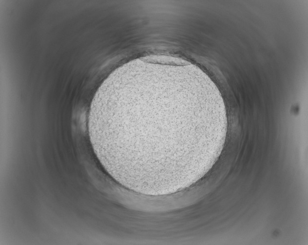 X0000116860042201002021115