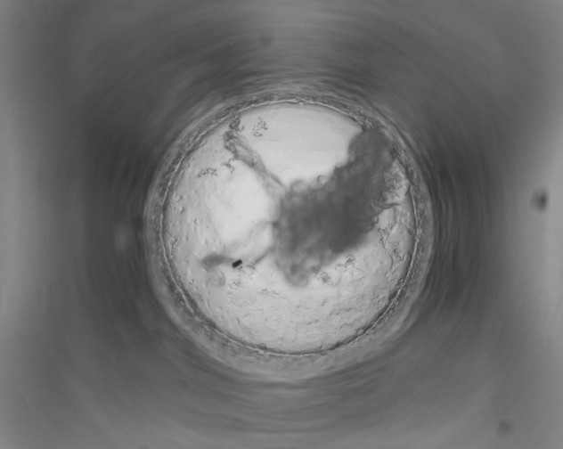 X0000116860044201002021115