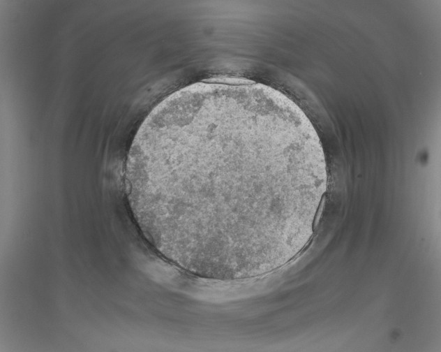 X0000116860045201002021115