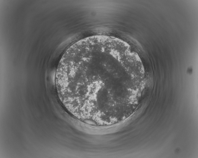 X0000116860047201002021115