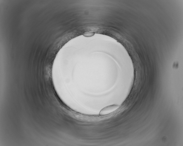 X0000116860048201002021115