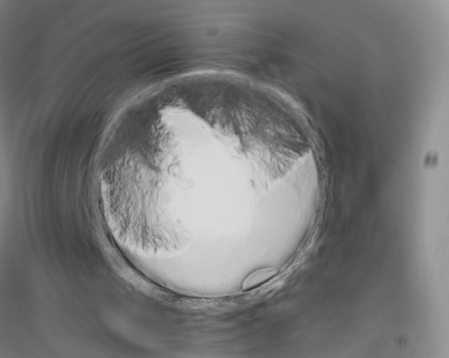 X0000116860049201002021115