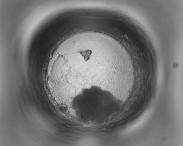 X0000116860050201002021115