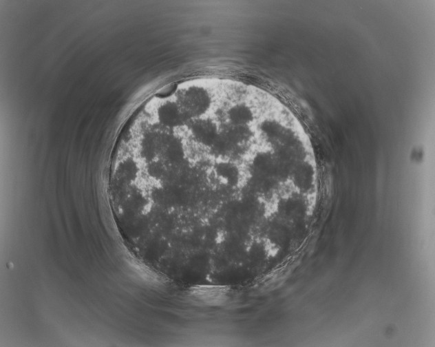 X0000116860051201002021115