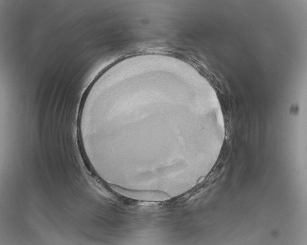 X0000116860052201002021115