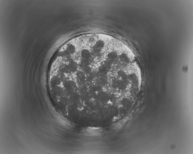 X0000116860055201002021115