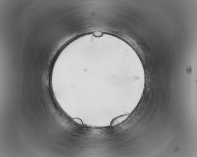 X0000116860060201002021115