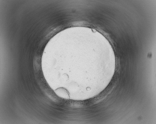 X0000116860061201002021115