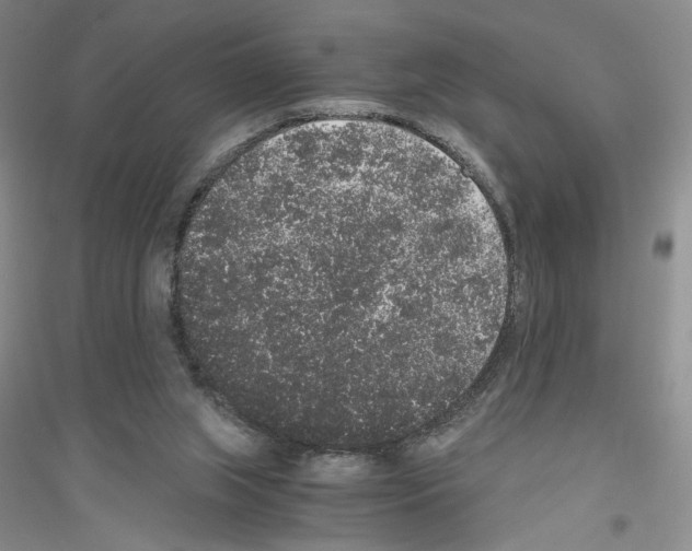 X0000116860063201002021115