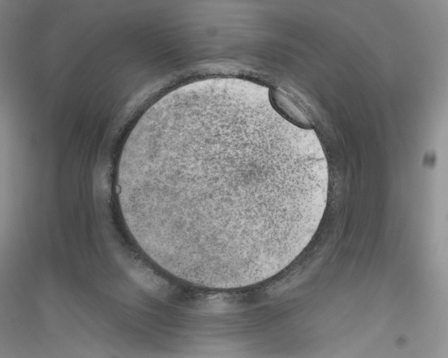 X0000116860064201002021115