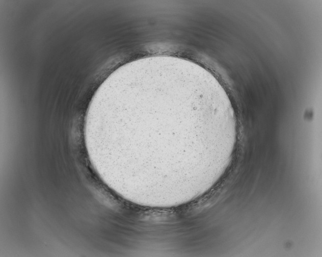 X0000116860065201002021115