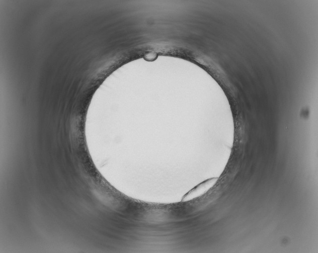 X0000116860066201002021115