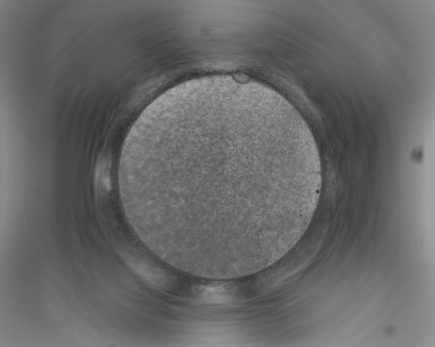 X0000116860068201002021115