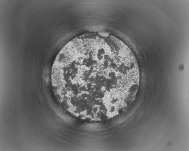 X0000116860069201002021115