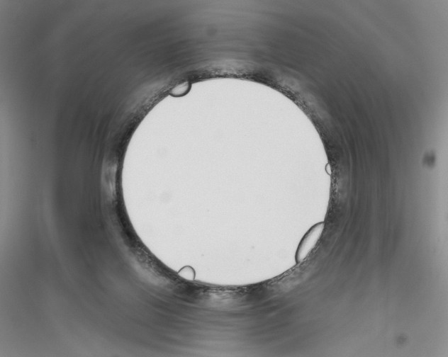 X0000116860070201002021115