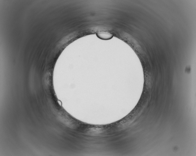 X0000116860071201002021115