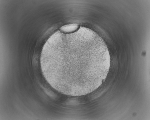 X0000116860072201002021115