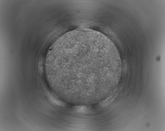 X0000116860074201002021115